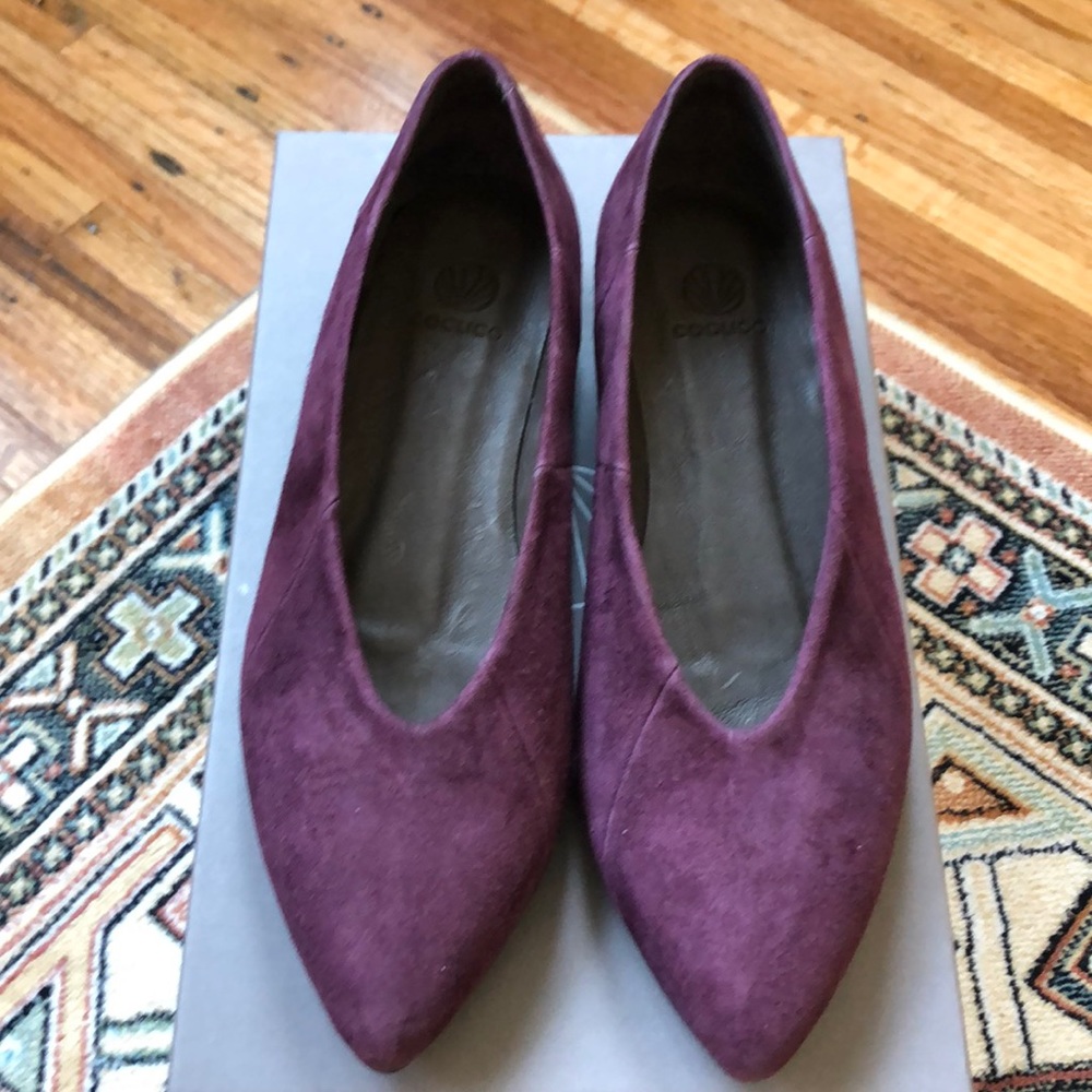 Coclico - Dall Flats - Raisin (BRAND NEW)